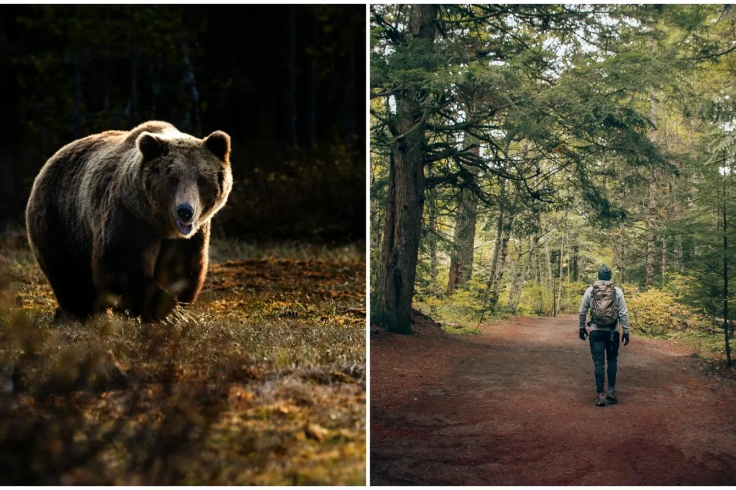 Sosyal medyadaki paylaşım büyük tartışma yarattı (Unsplash)