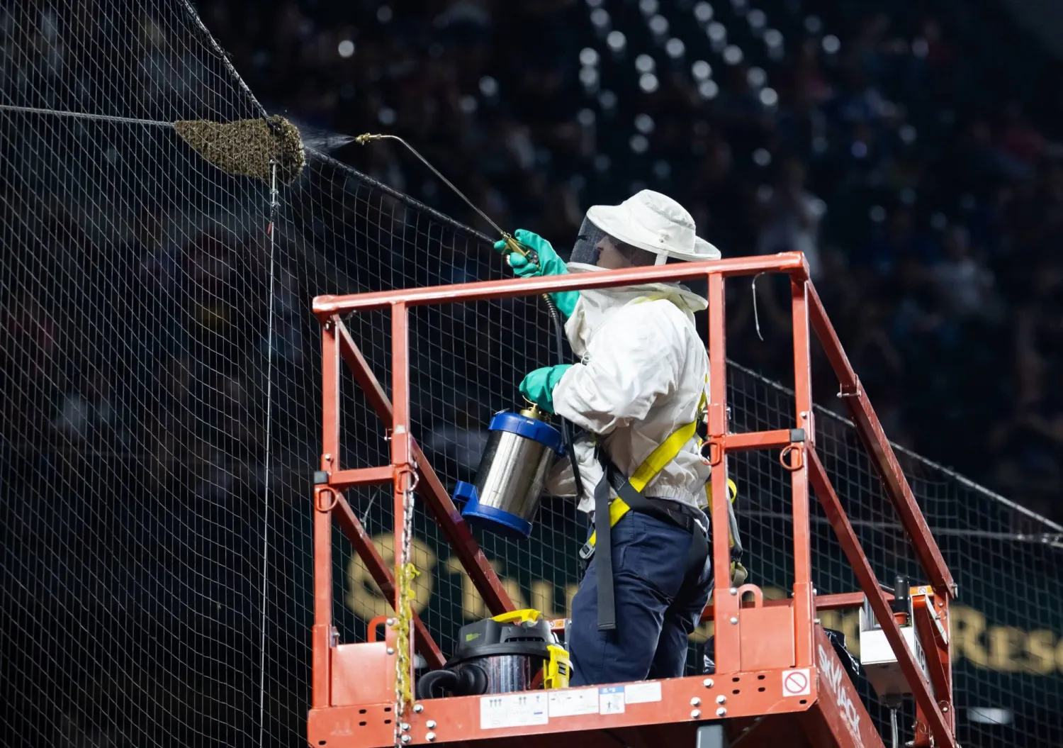 نجم الأمسية (أميركا اليوم)