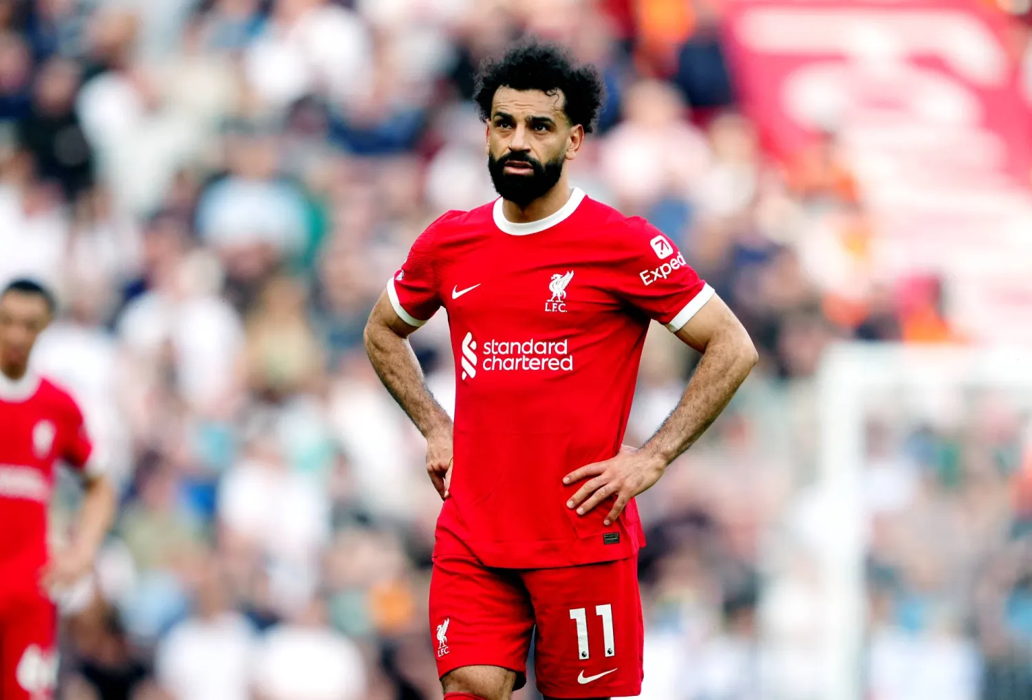 محمد صلاح (د.ب.أ)