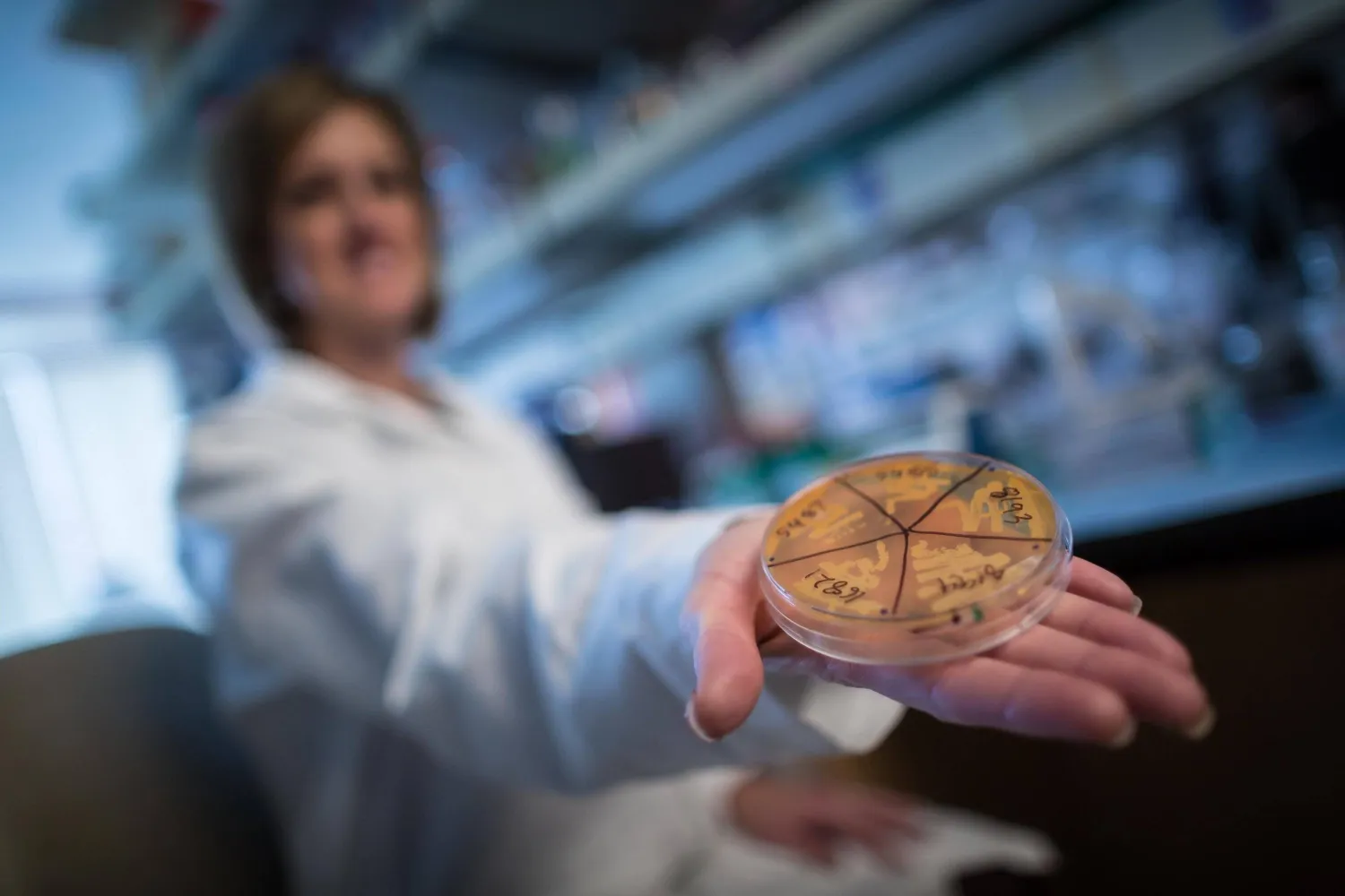 هناك ميكروبات مفيدة تؤثر في كل من صحتنا وسلوكياتنا (جامعة يوتا)