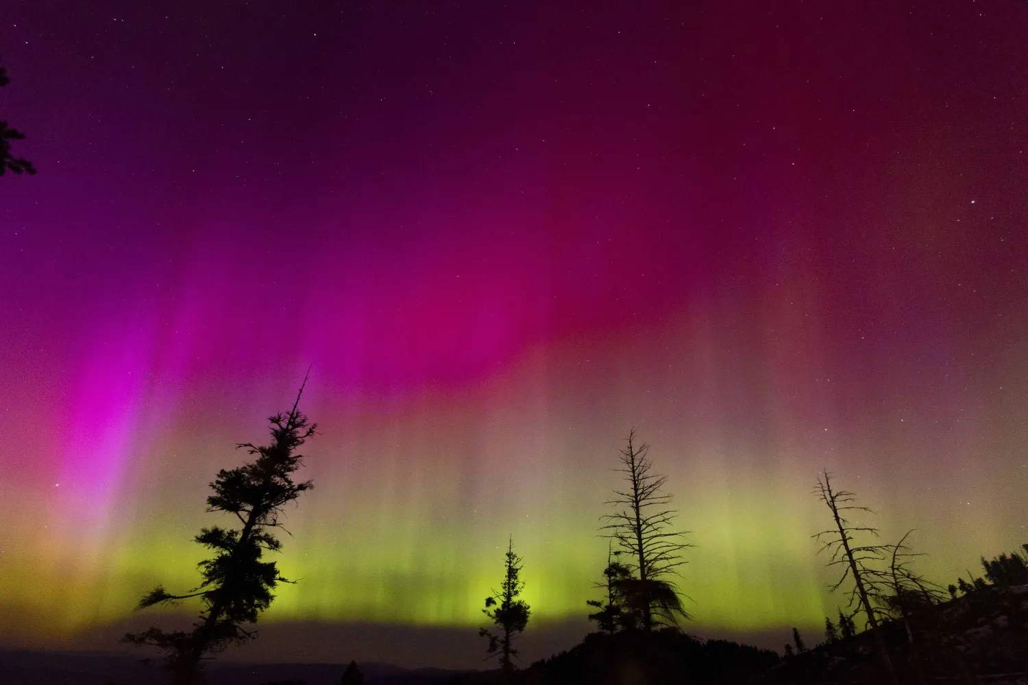 تملأ الأضواء الشمالية السماء في منتجع للتزلج في بويز بولاية أيداهو الأميركية (أ.ب)