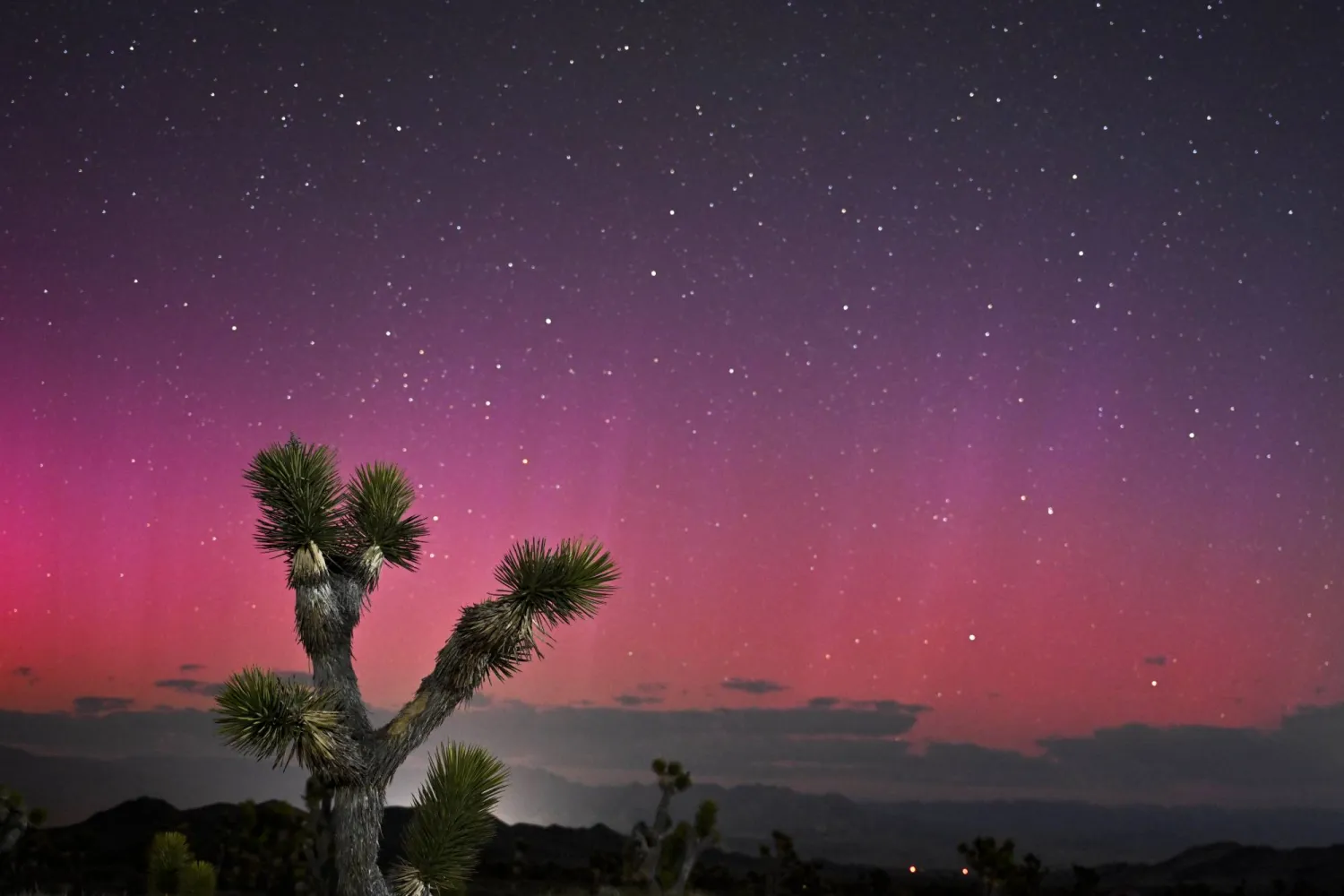 جانب من «الشفق القطبي» كما ظهر في المكسيك (د.ب.أ)