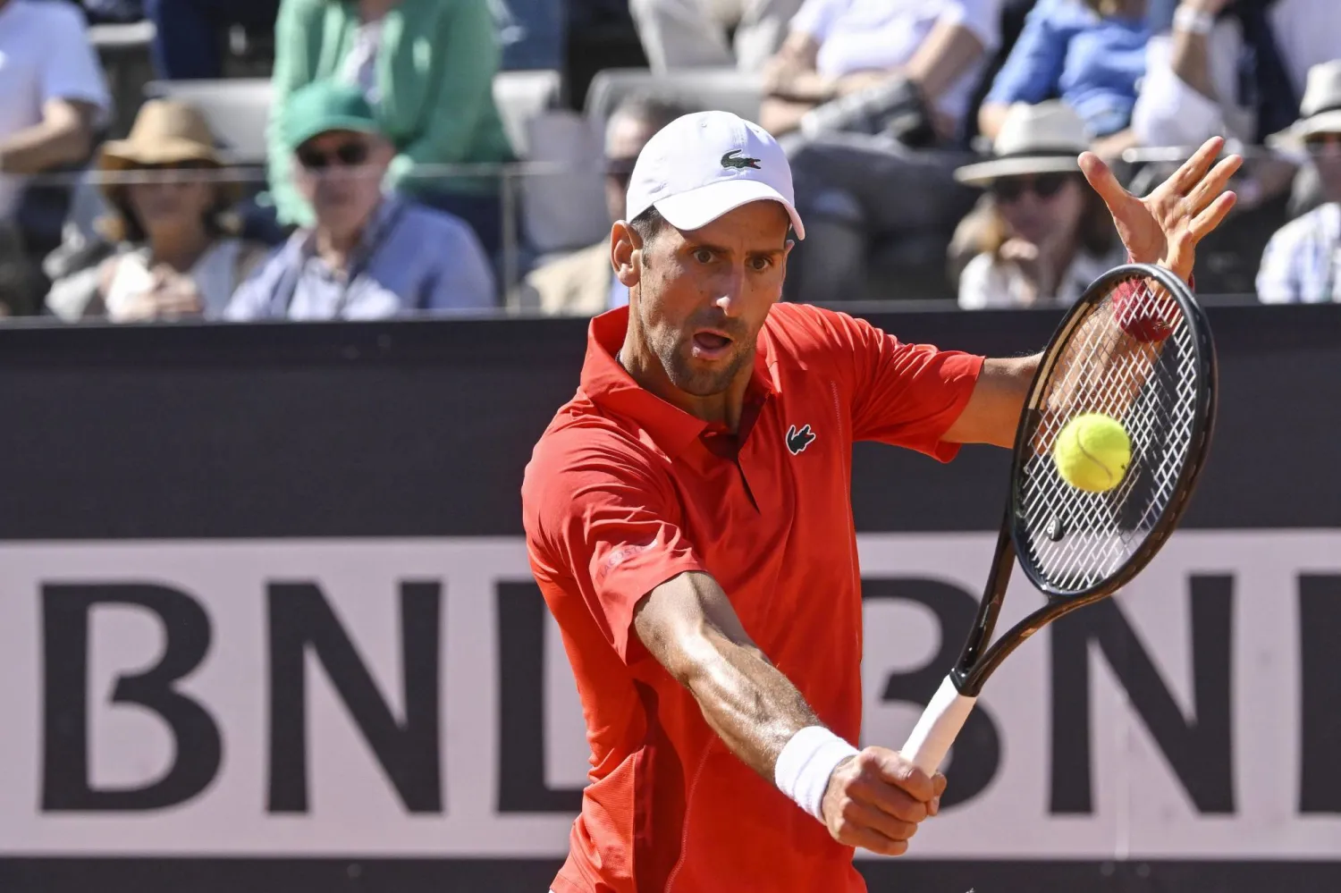 نوفاك ديوكوفيتش (إ.ب.أ)