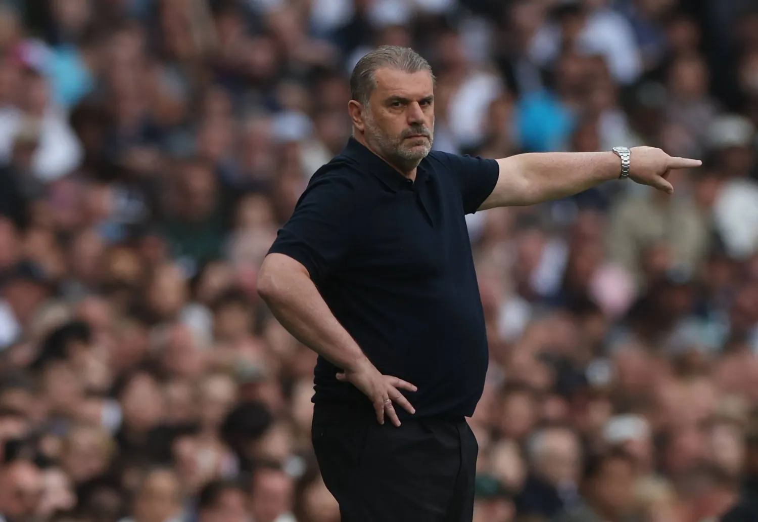 أنجي بوستيكوغلو مدرب توتنهام هوتسبير (إ.ب.أ)