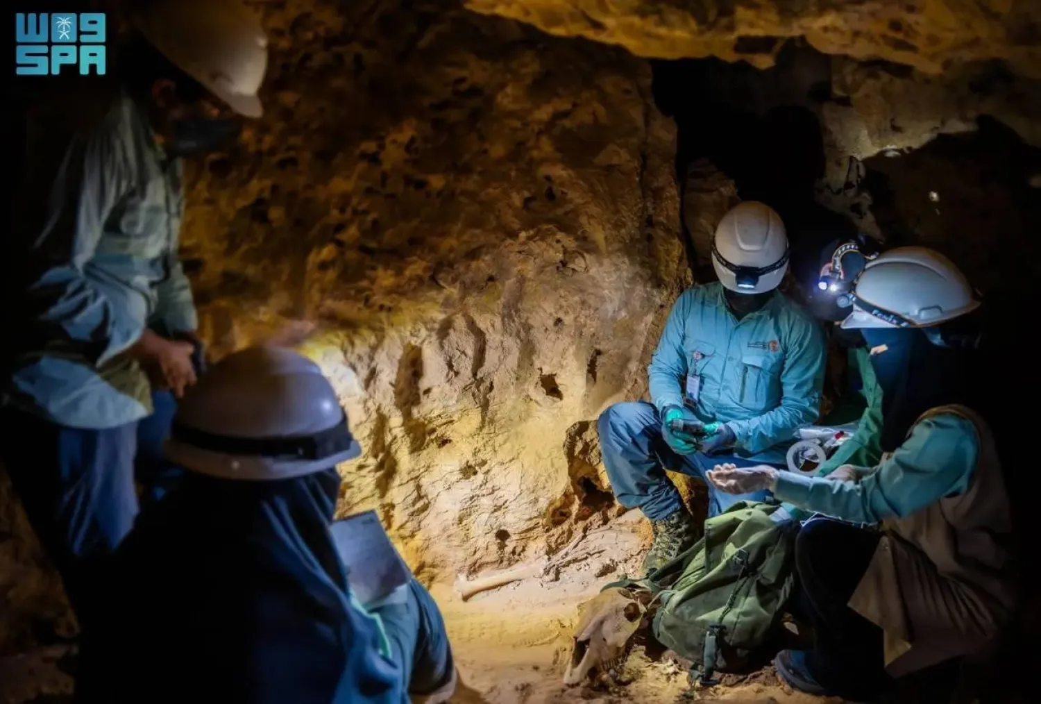 According to Qurban, researchers from NCW have uncovered in the Kingdom's caves some of the world's rarest bat species alongside the remains of extinct animals. SPA