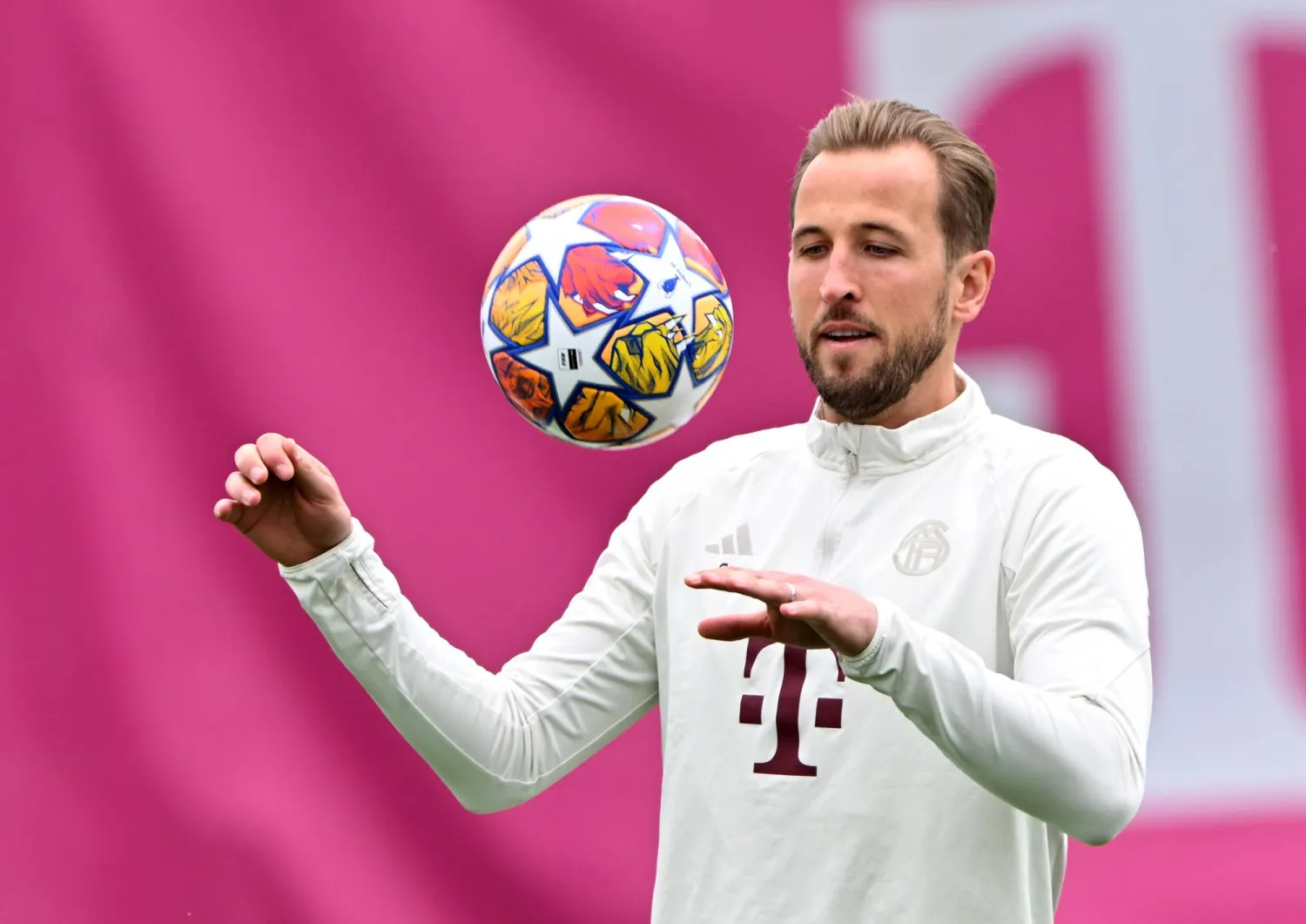 هاري كين (د.ب.أ)