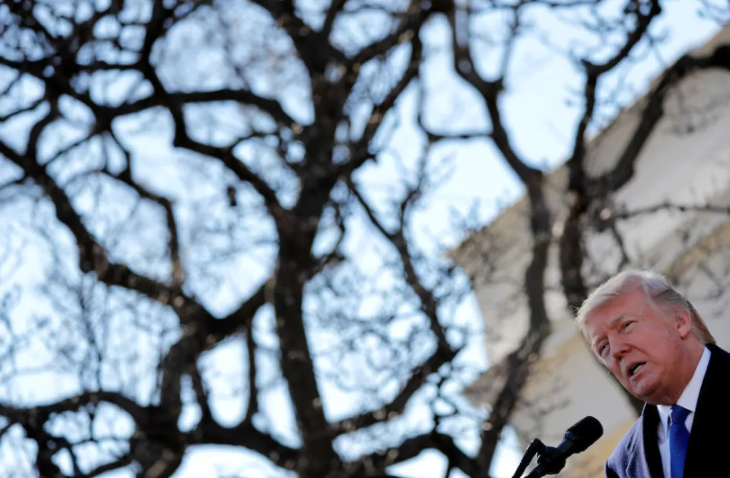 US President Donald Trump addresses the annual March for Life rally, taking place on the National Mall, from the White House Rose Garden in Washington, US, January 19, 2018. REUTERS/Carlos Barria/ File Photo Purchase Licensing Rights