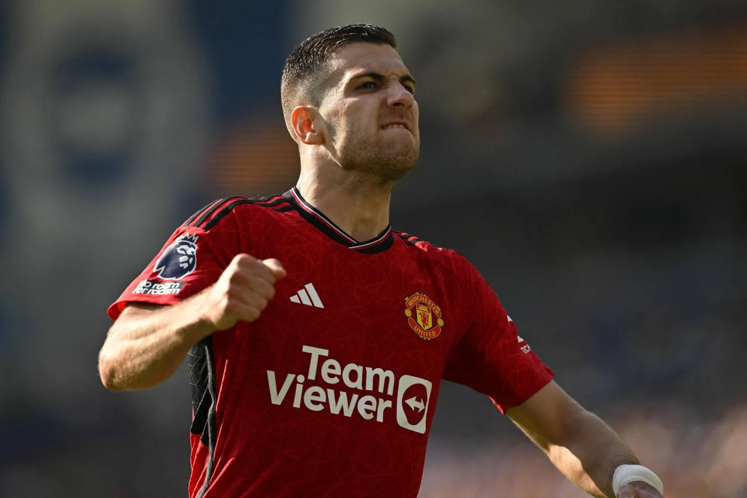 ديوغو دالوت (أ.ف.ب)