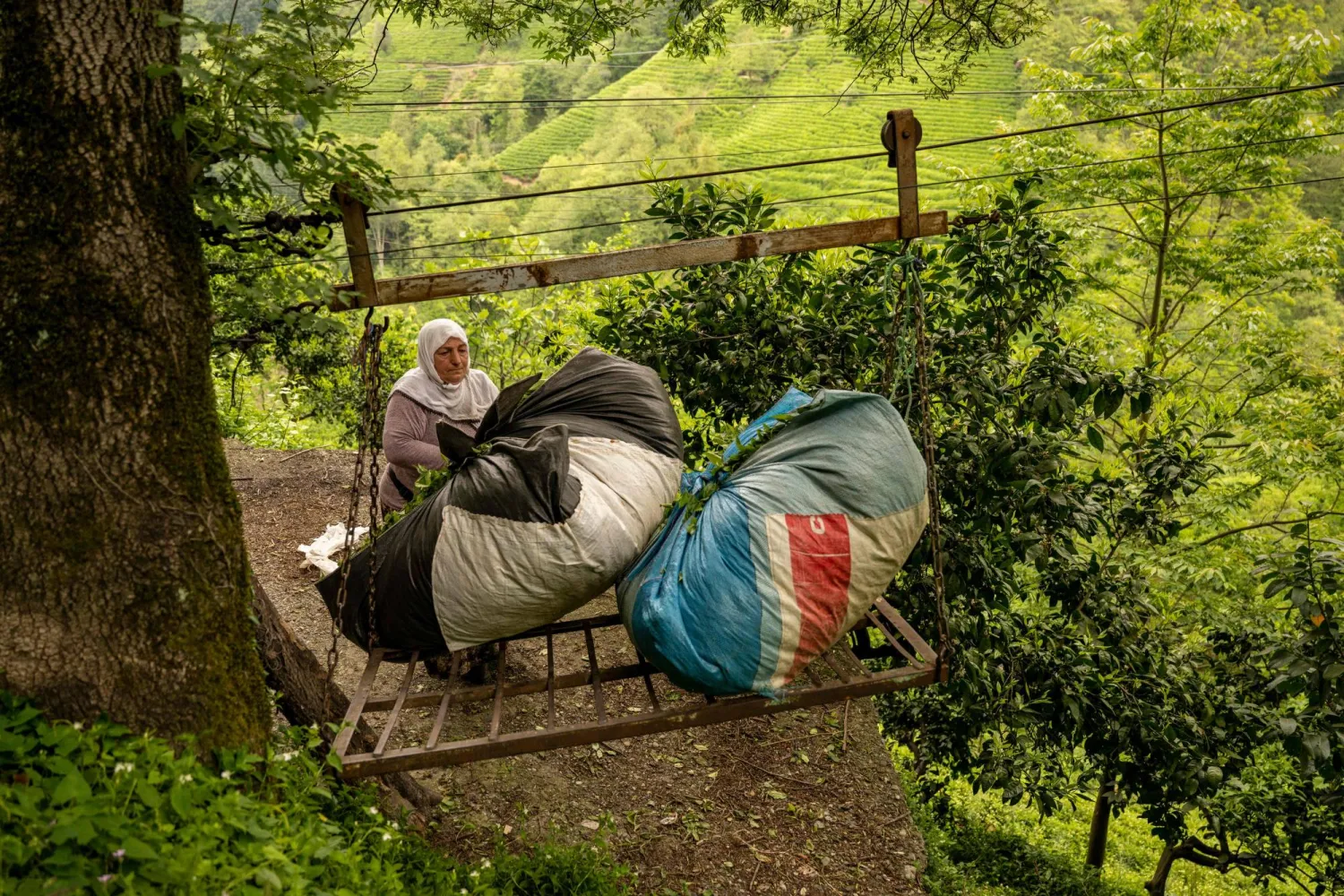 سيفيلاي سين أنهكتها المخاوف (أ.ف.ب)