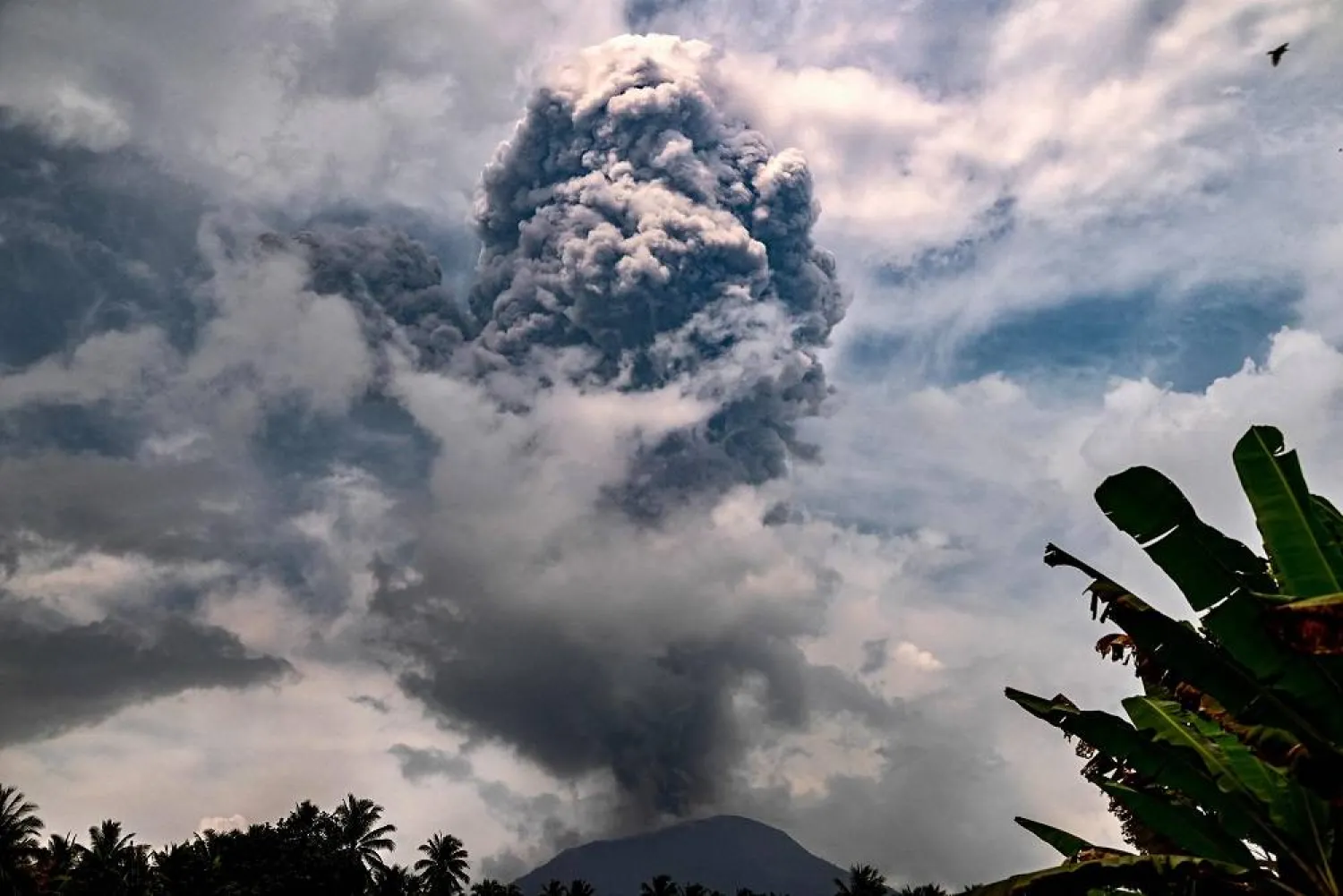 This handout picture taken and released on May 21, 2024 by the Indonesian Geological Agency shows Mount Ibu spewing volcanic ash as seen from the monitoring post in West Halmahera, North Maluku. (Photo by Indonesian Geological Agency / AFP) 