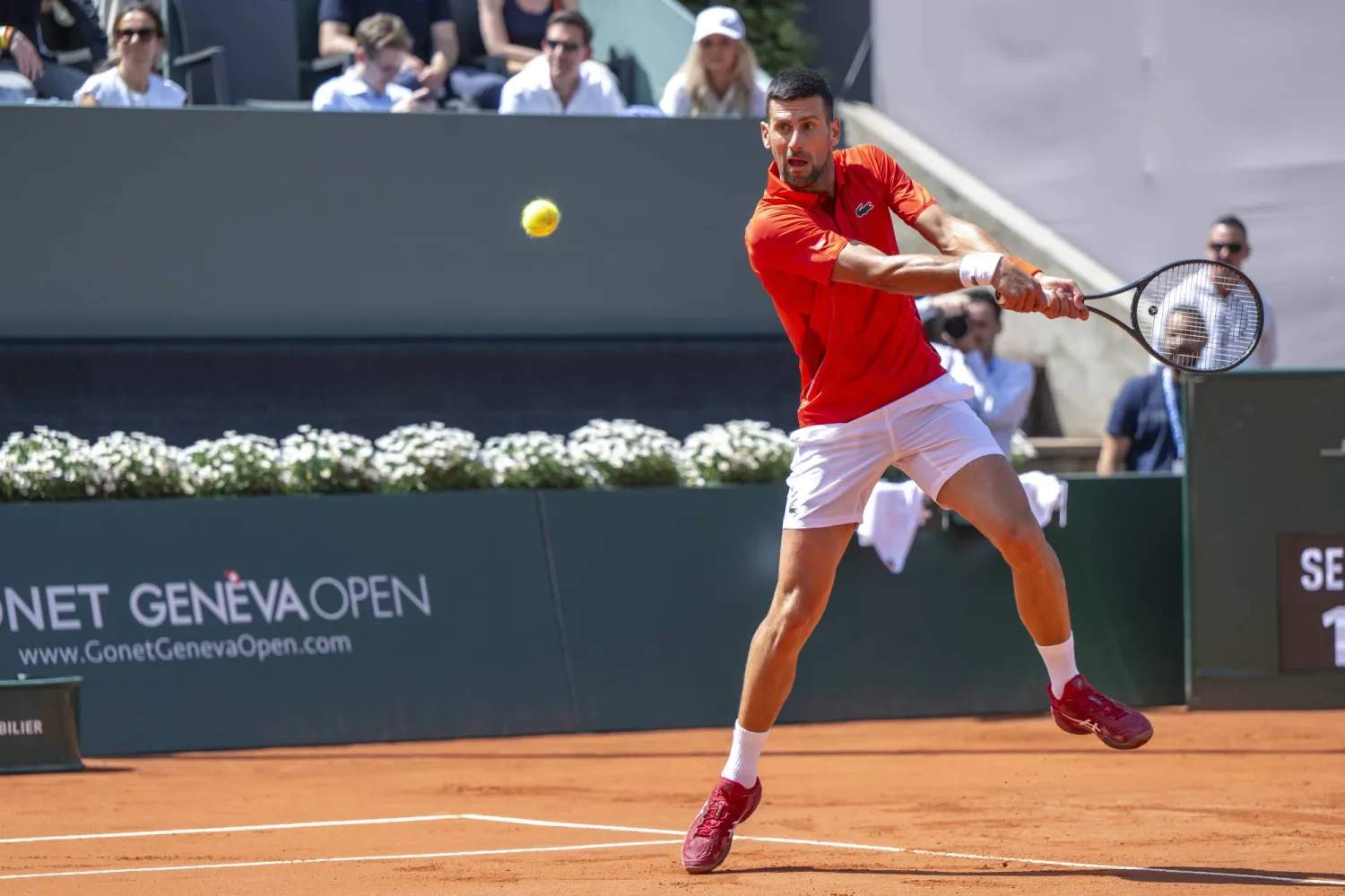 نوفاك ديوكوفيتش (إ.ب.أ)