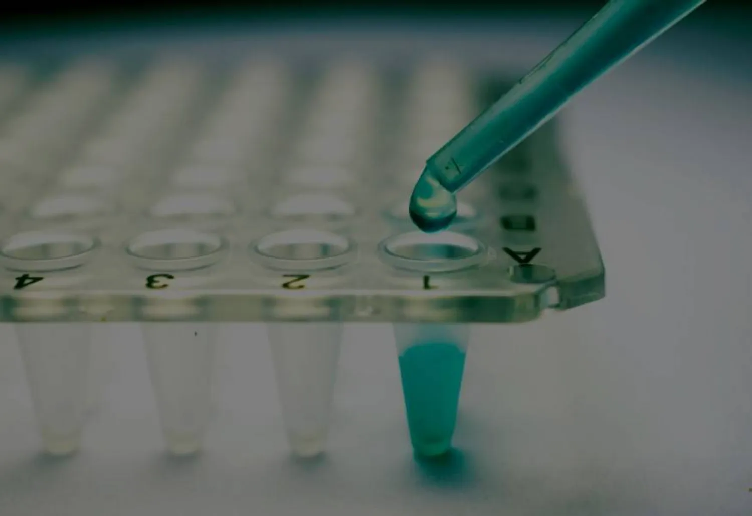 أول مرة في العالم... شفاء مريض سكري باستخدام العلاج بالخلايا