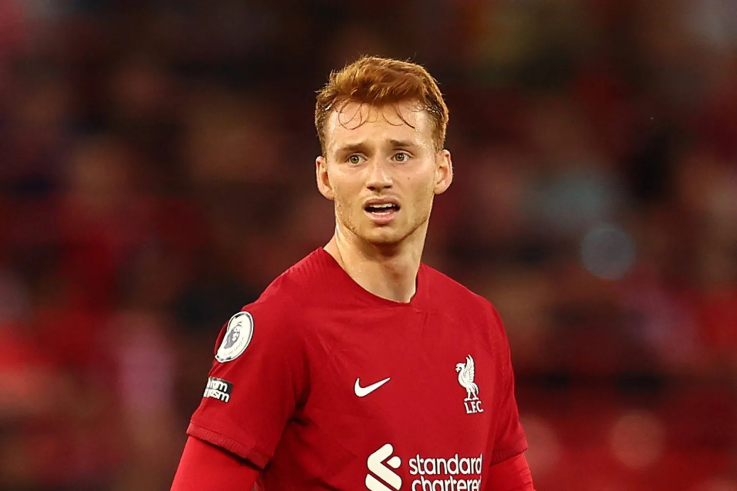 سيب فان دين بيرغ (رويترز)