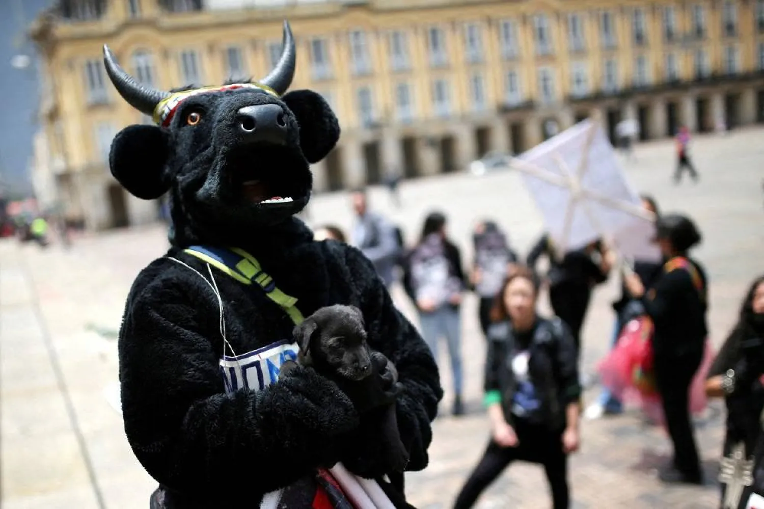 An animal rights activist holds a puppy while taking part in a demonstration demanding the approval of a law that prohibits bullfights, cockfights and events where animals are abused, in Bogota, Colombia, October 5, 2022. (Reuters)
