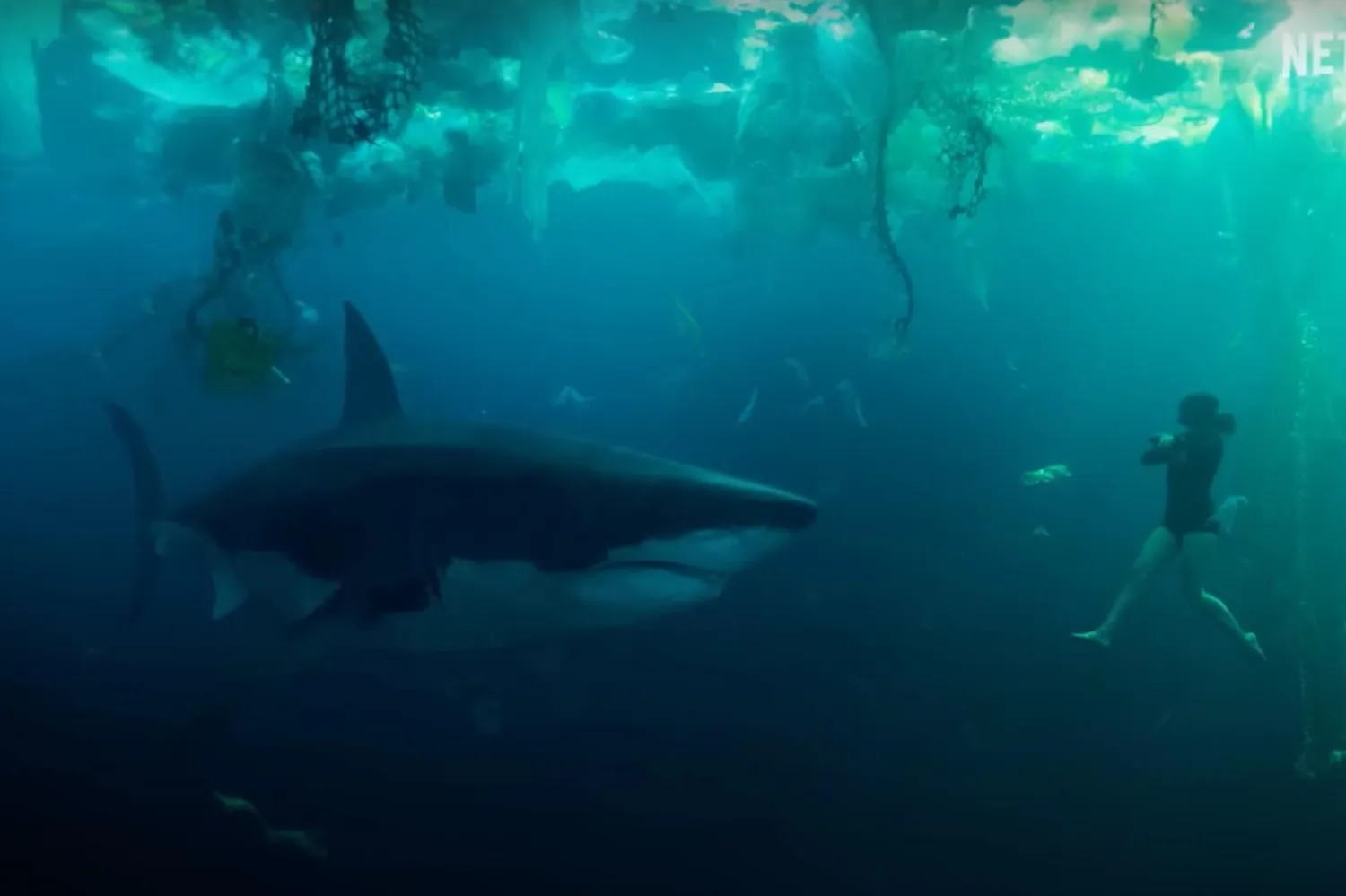 49 yaşındaki Fransız yönetmen Xavier Gens, daha önce Soğuk Deri (Cold Skin) ve Sınır(da) (Frontière(s)) gibi başarılı gerilimlere imza atmıştı (Netflix)