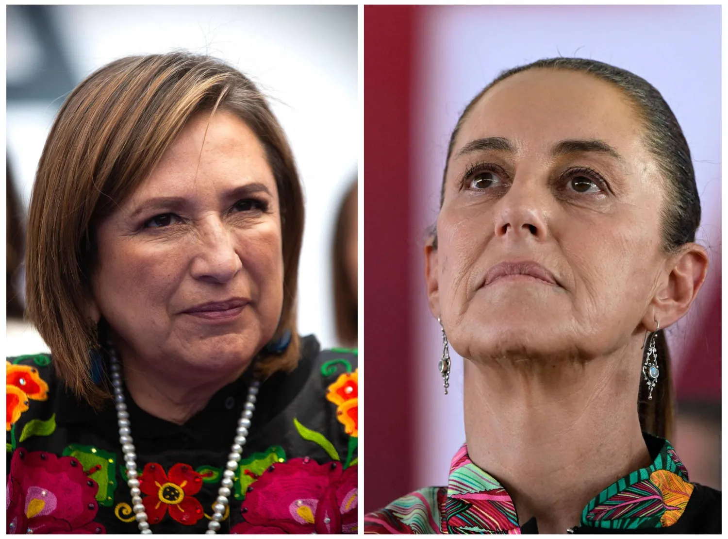 صورة مركّبة لمرشحتَي الرئاسة غالفيز (يسار) وشاينبوم (يمين) (أ.ف.ب)