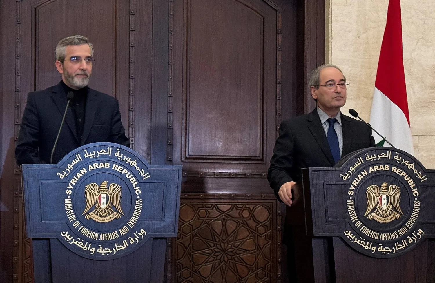 المقداد خلال مؤتمر صحافي مع نظيره الإيراني علي باقري كني في دمشق (رويترز)