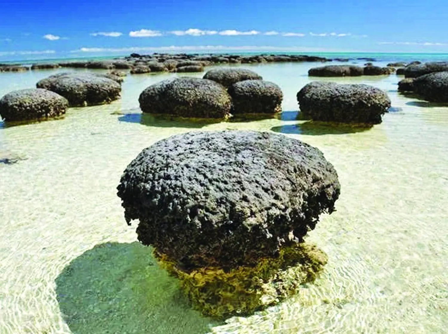 
ترجع بداية الاكتشاف عن طريق الصدفة إلى زيارة ميدانية في يناير 2021 لقارب صيد محلي (مجلة الجيولوجيا)