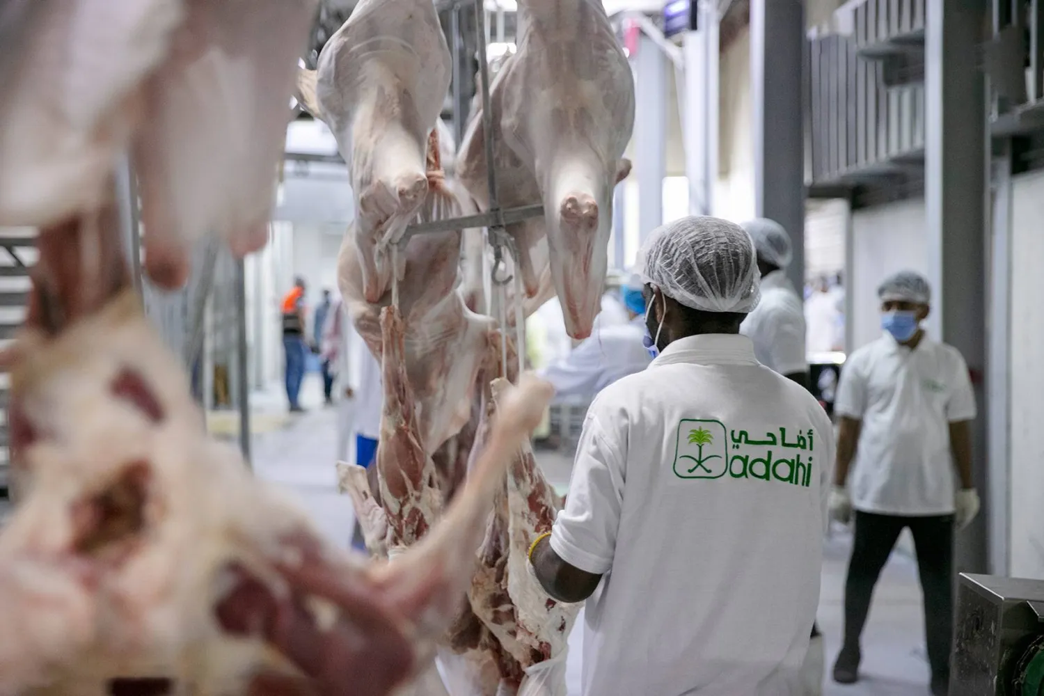 الطاقة الانتاجية تتجاوز 13 ألف رأس في الساعة ويضم المشروع أحد أكبر أنظمة التبريد الصناعي في العالم (موقع أضاحي)