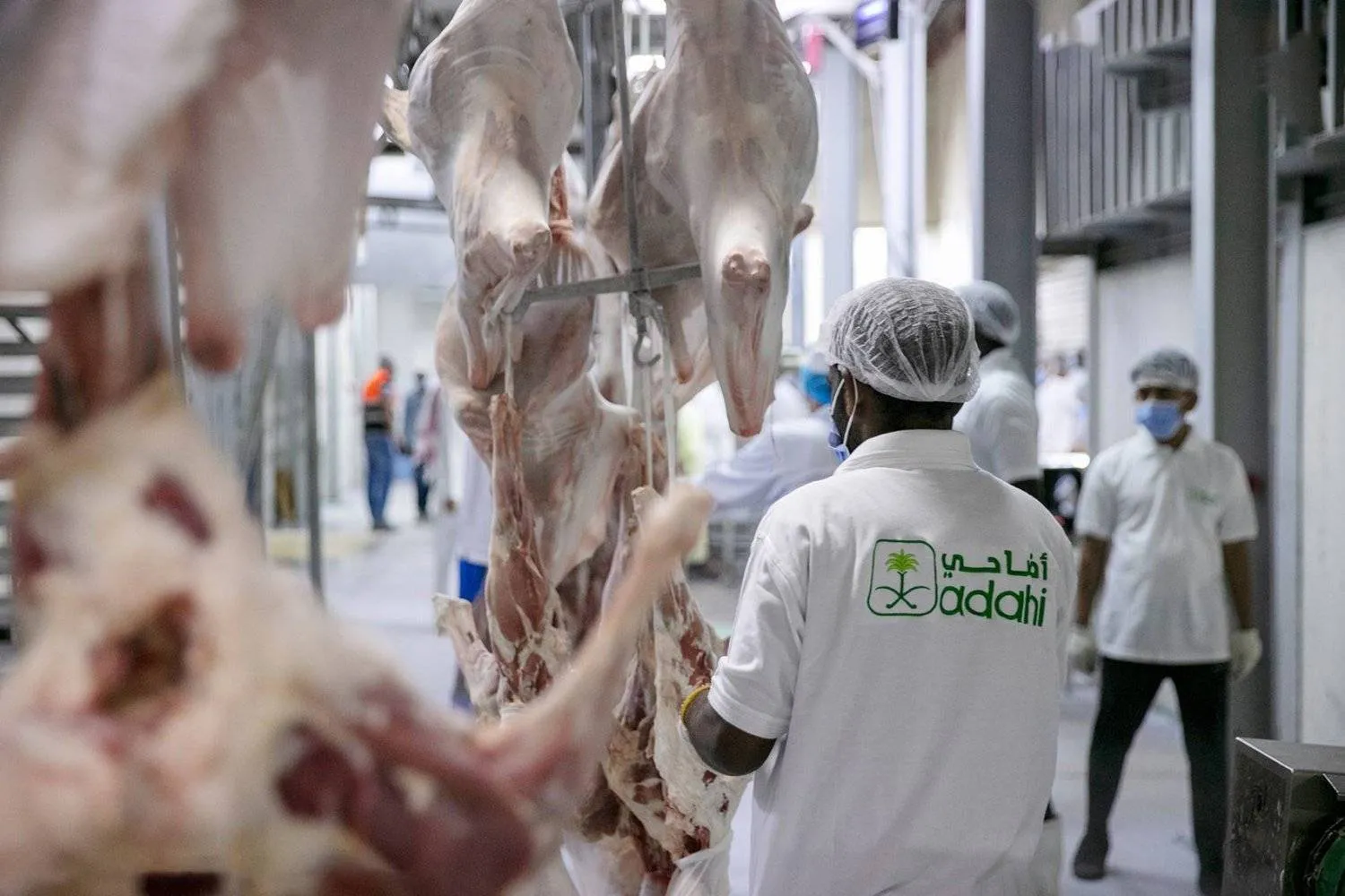 The production capacity exceeds 13,000 heads per hour, and the project includes one of the largest industrial refrigeration systems in the world (Adahi)