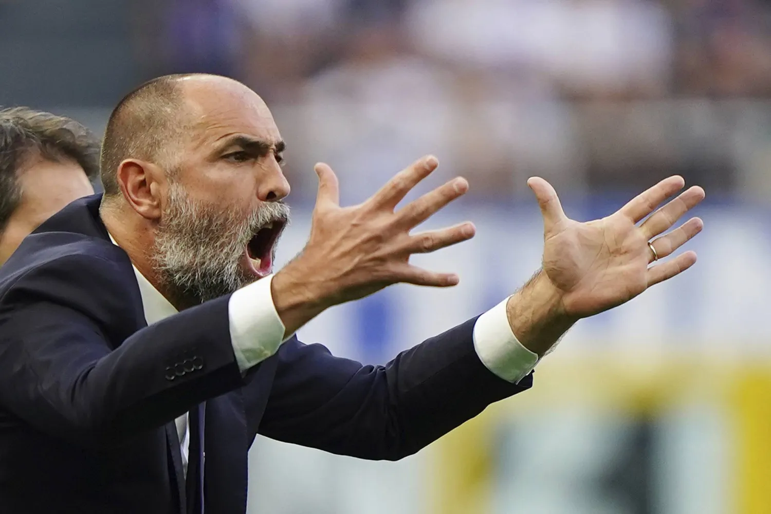 إيغور تودور (أ.ب)