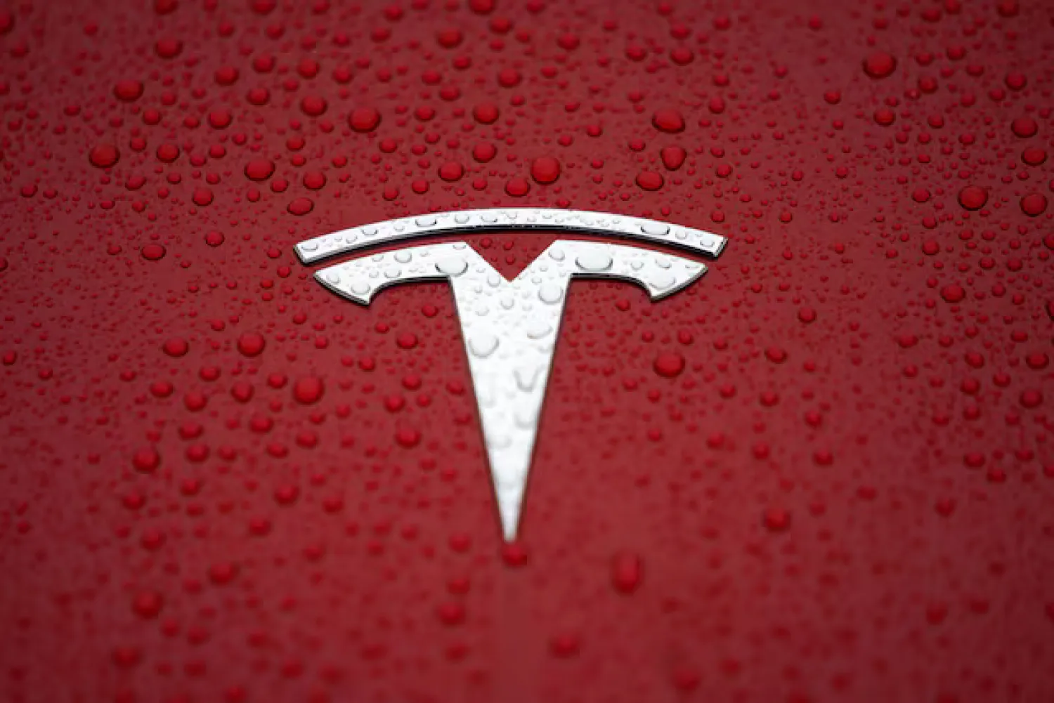 A Tesla logo is seen at a groundbreaking ceremony of Tesla Shanghai Gigafactory in Shanghai, China January 7, 2019. REUTERS/Aly Song/File Photo Purchase Licensing Rights