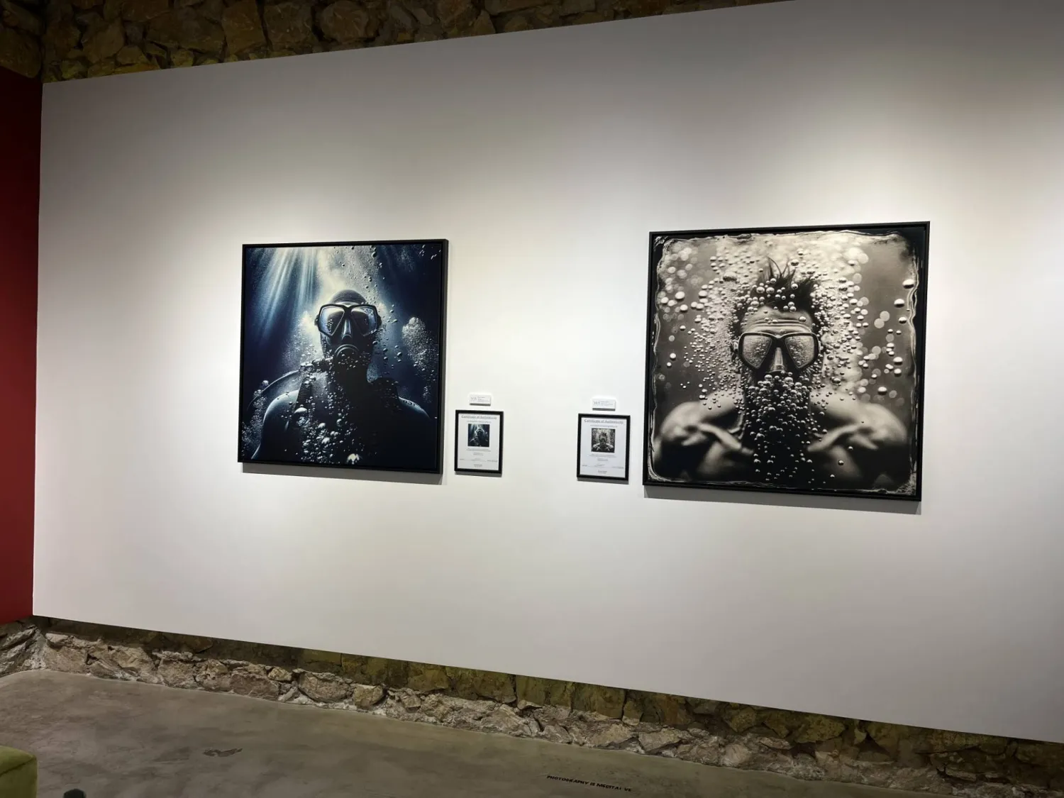 الغوص في عالم المحيطات والبحار ضمن صور فوتوغرافية (الشرق الأوسط)