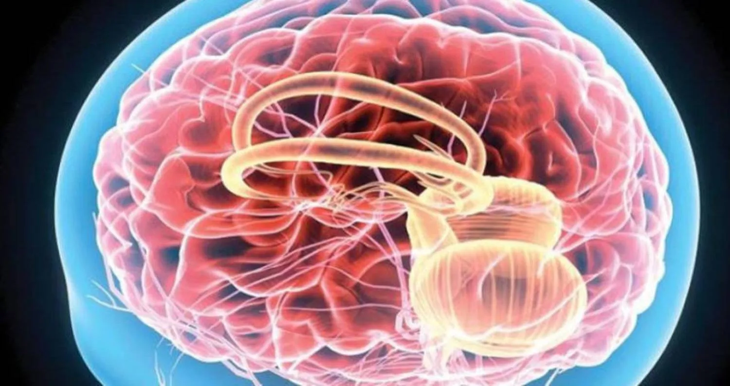 كم نحتاج أن نتمرن؟ وما التمارين الأفضل؟