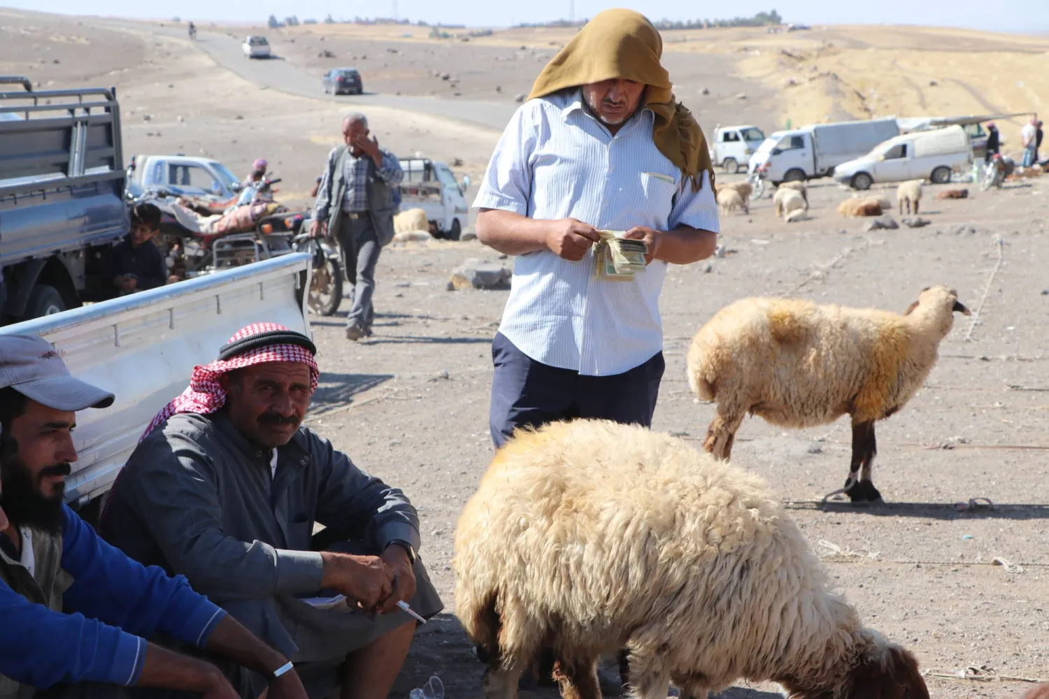 من سوق «السيكر» للمواشي التي تقع بريف بلدة الدرباسية الجنوبية (الشرق الأوسط)