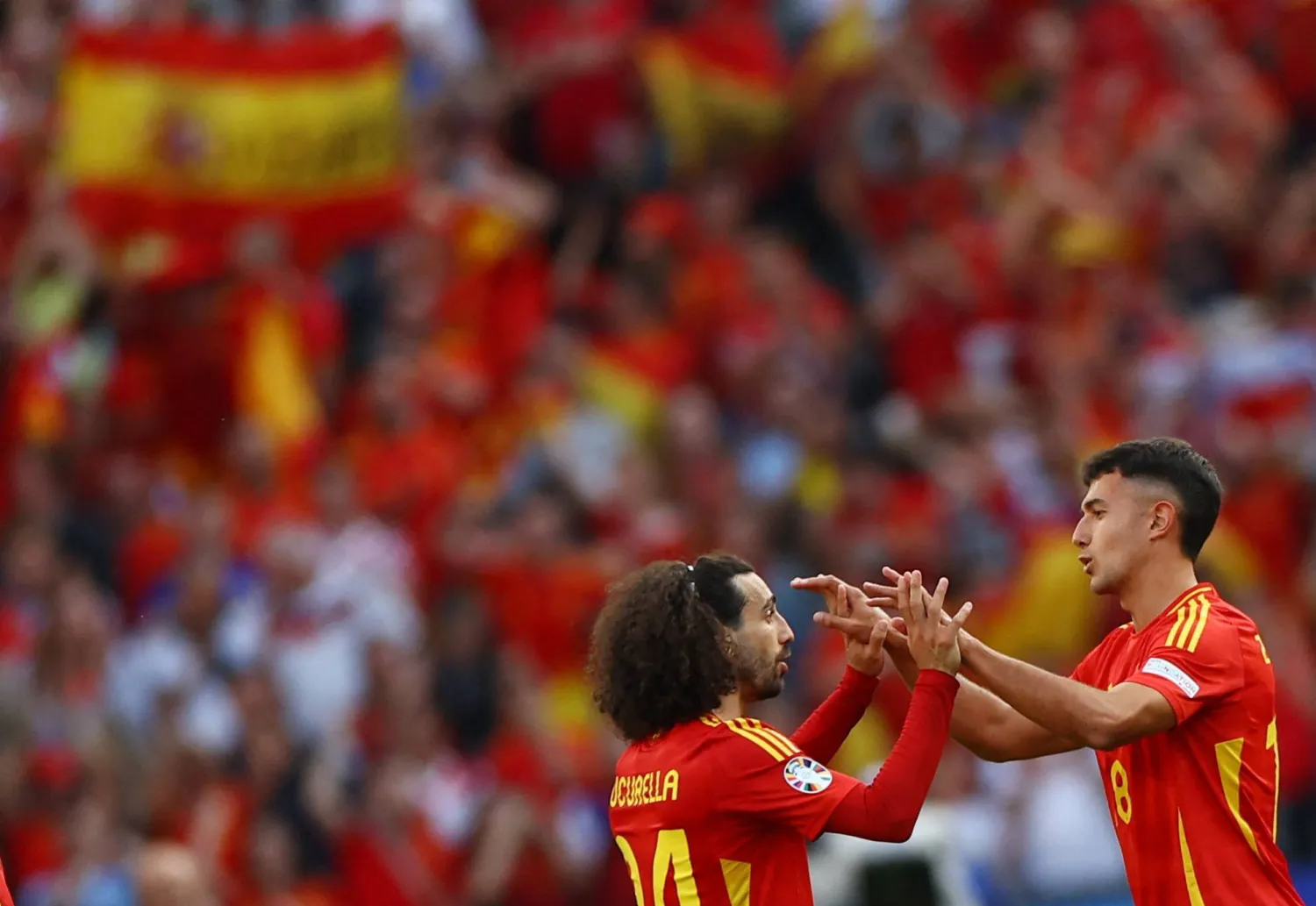 فابيان رويس (رويترز)