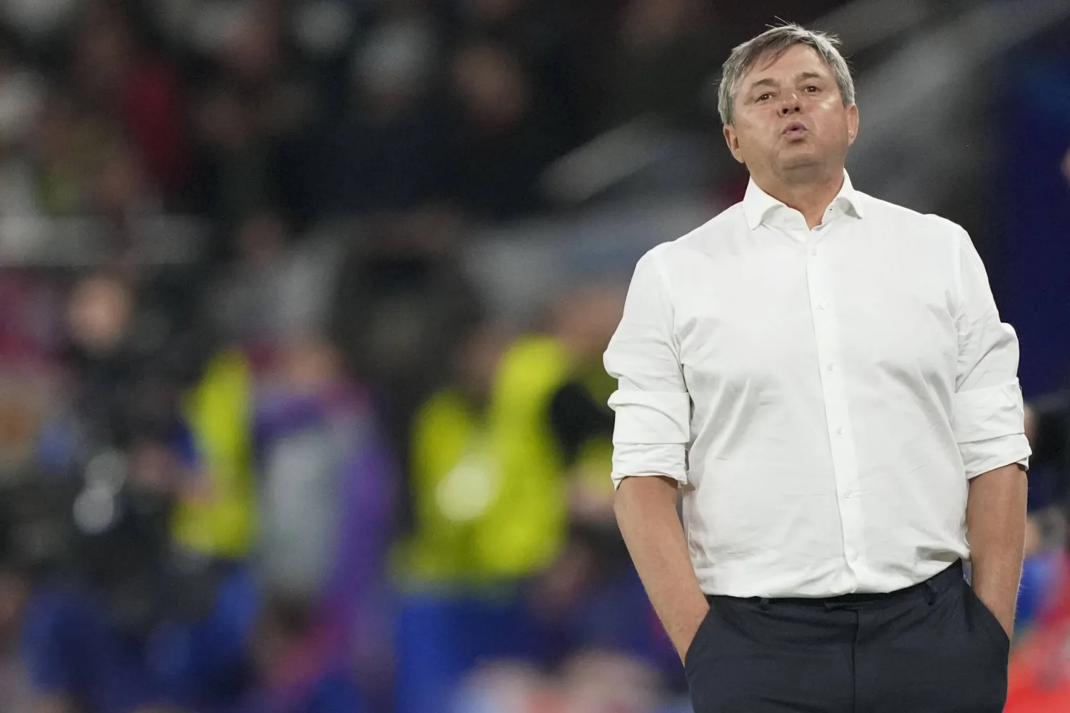 دراجان ستويكوفيتش مدرب صربيا (أ.ب)