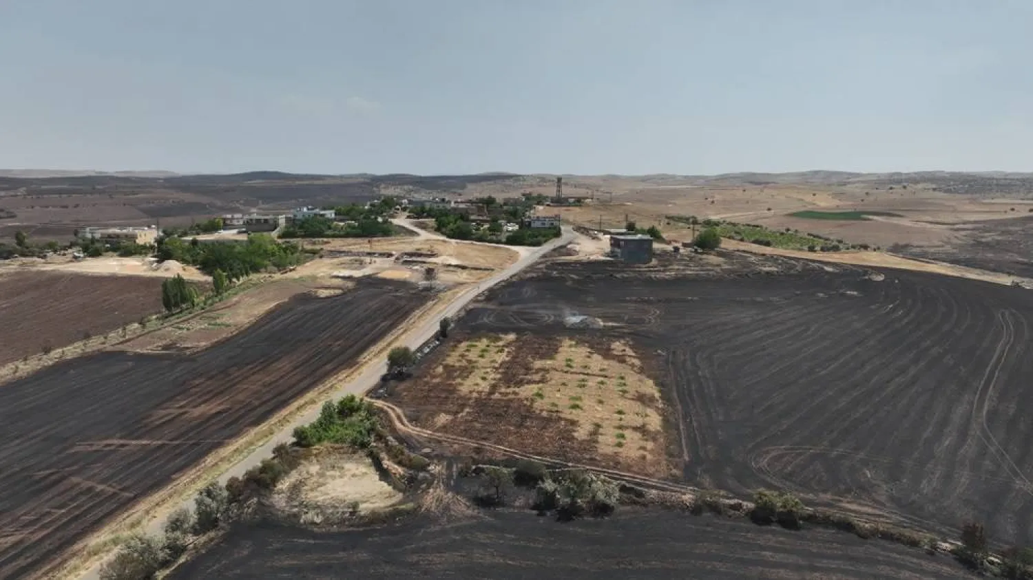 A handout photo made available by the Diyarbakir Municipality shows a view of the burned lands after a stubble fire at Diyarbakir, Türkiye, 21 June 2024. (EPA/ Diyarbakir Municipality) 