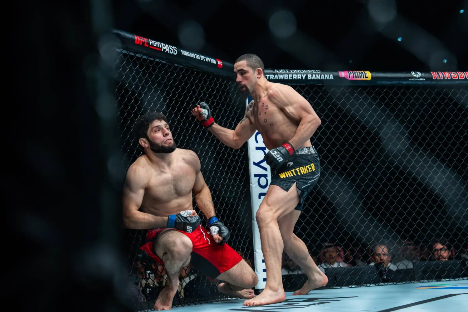 ويتكر لحظة إسقاط خصمه الروسي إكرام أليسكروف (موسم الرياض)