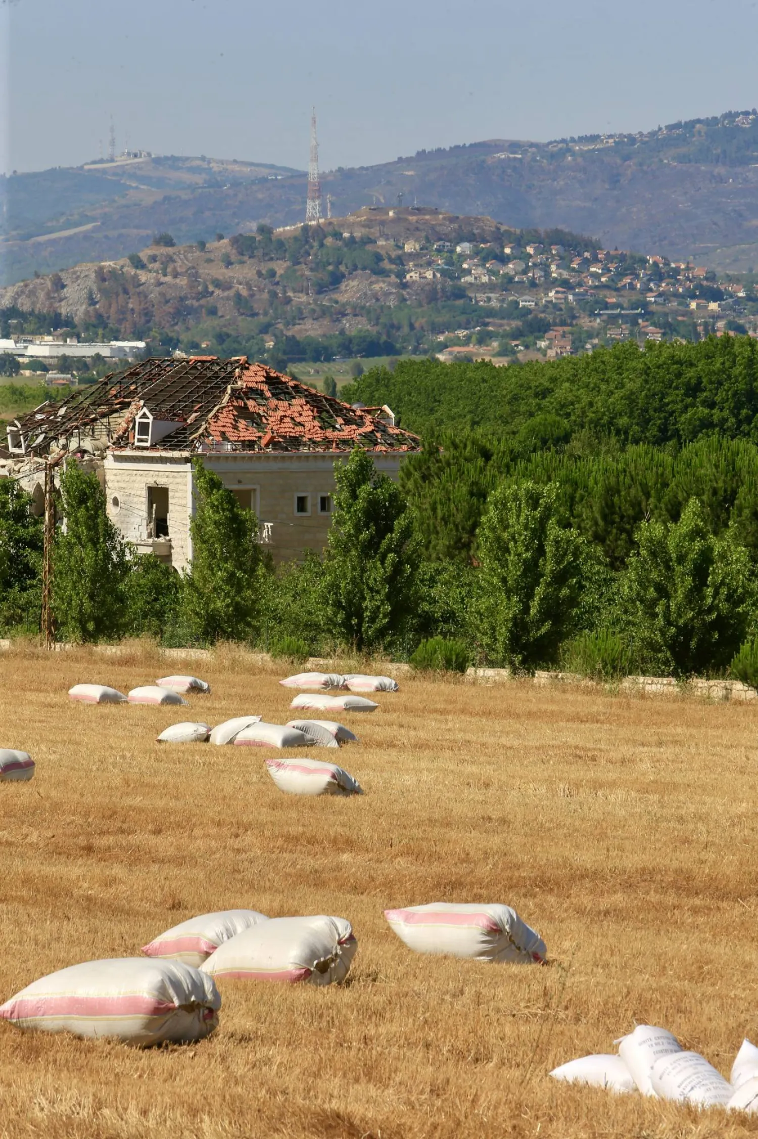 أكياس من تبن القمح تركها مزارعون لبنانيون في الحقول وفروا هرباً من القصف الإسرائيلي على بلدة الخيام الحدودية (إ.ب.أ)