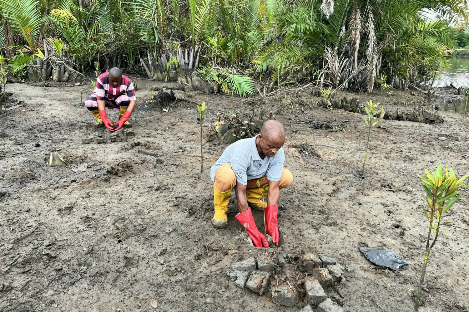 A local community leader is pushing ahead with a project to restore the spoiled forests. Kadiatou Sakho / AFP