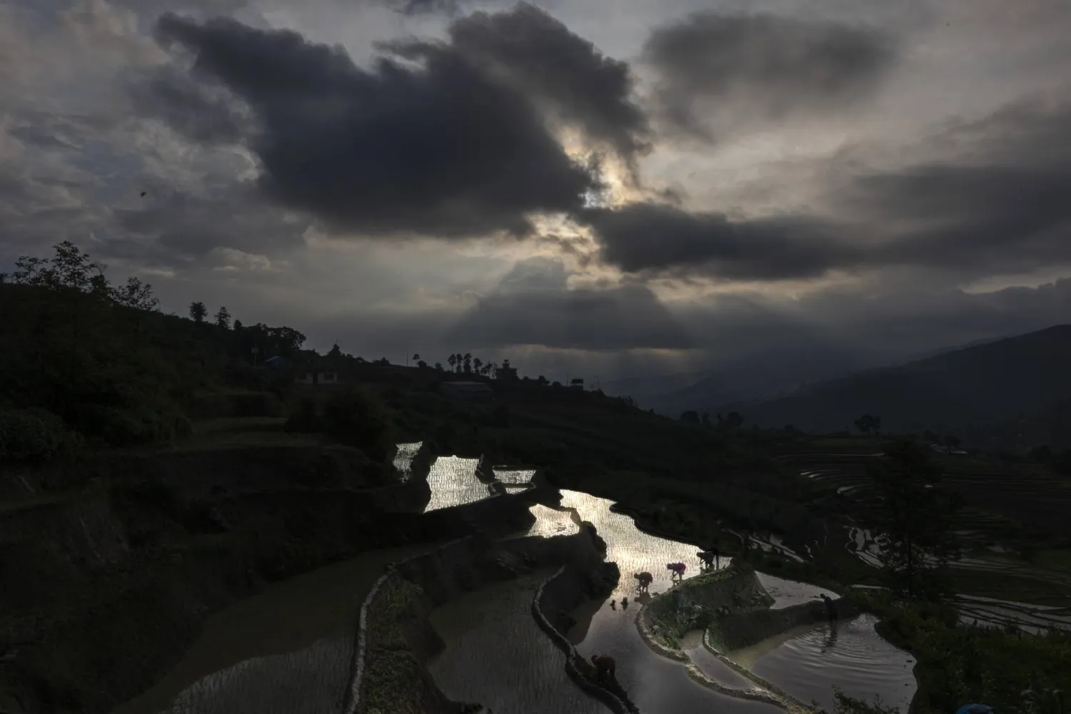 Nepalese farmers plant rice saplings in terraced paddy fields during the beginning of the monsoon season in the Nagarkot village, on the outskirts of Kathmandu, Nepal, 28 June 2024. EPA/NARENDRA SHRESTHA