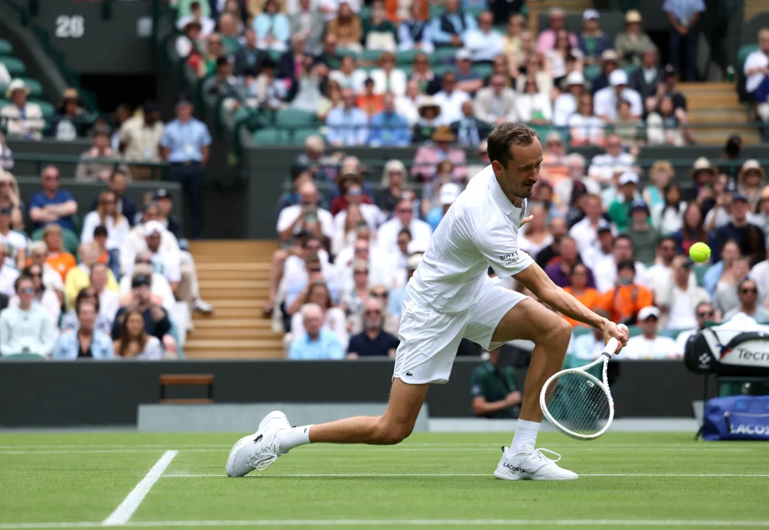 دانييل ميدفيديف (رويترز)