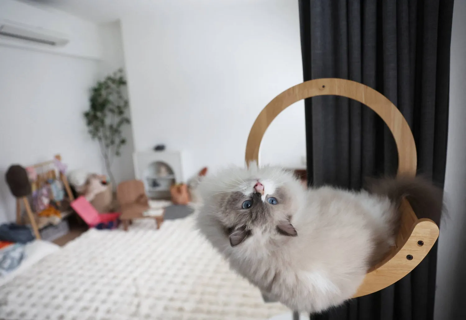 توفير أماكن اختباء آمنة للقطط وفرص اللعب يمكن أن يساعد في تقليل التوتر لديها (رويترز)