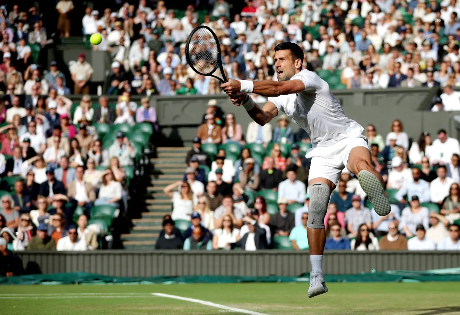 نوفاك ديوكوفيتش (إ.ب.أ)