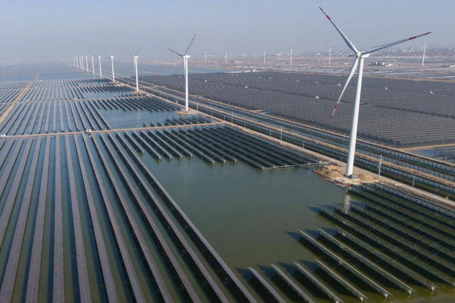 Wind turbines dot the coast line along a giant solar farm near Weifang in eastern China's Shandong province on March 22, 2024. China's Commerce Ministry has announced it will launch an investigation into whether unfair trade practices were adopted by the European Union in its probe of Chinese companies. It said Wednesday, July 10, 2024 the investigation will focus on wind power, photovoltaics, security equipment and others. (AP Photo/Ng Han Guan)

