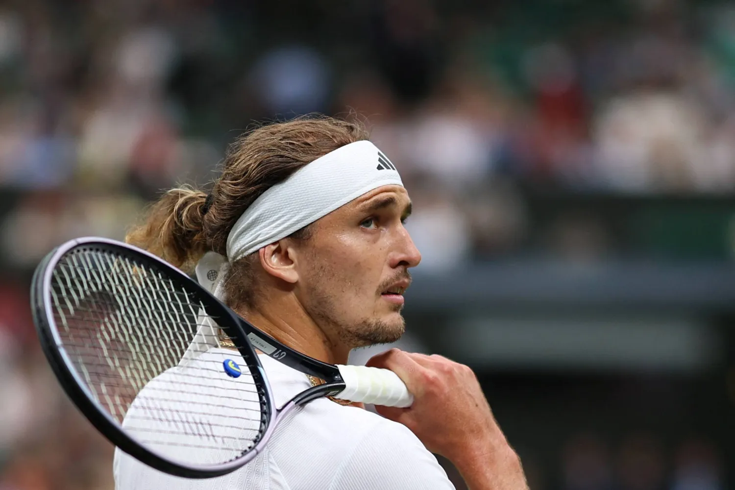 ألكسندر زفيريف لن يشارك في كأس ديفيز (أ.ف.ب)