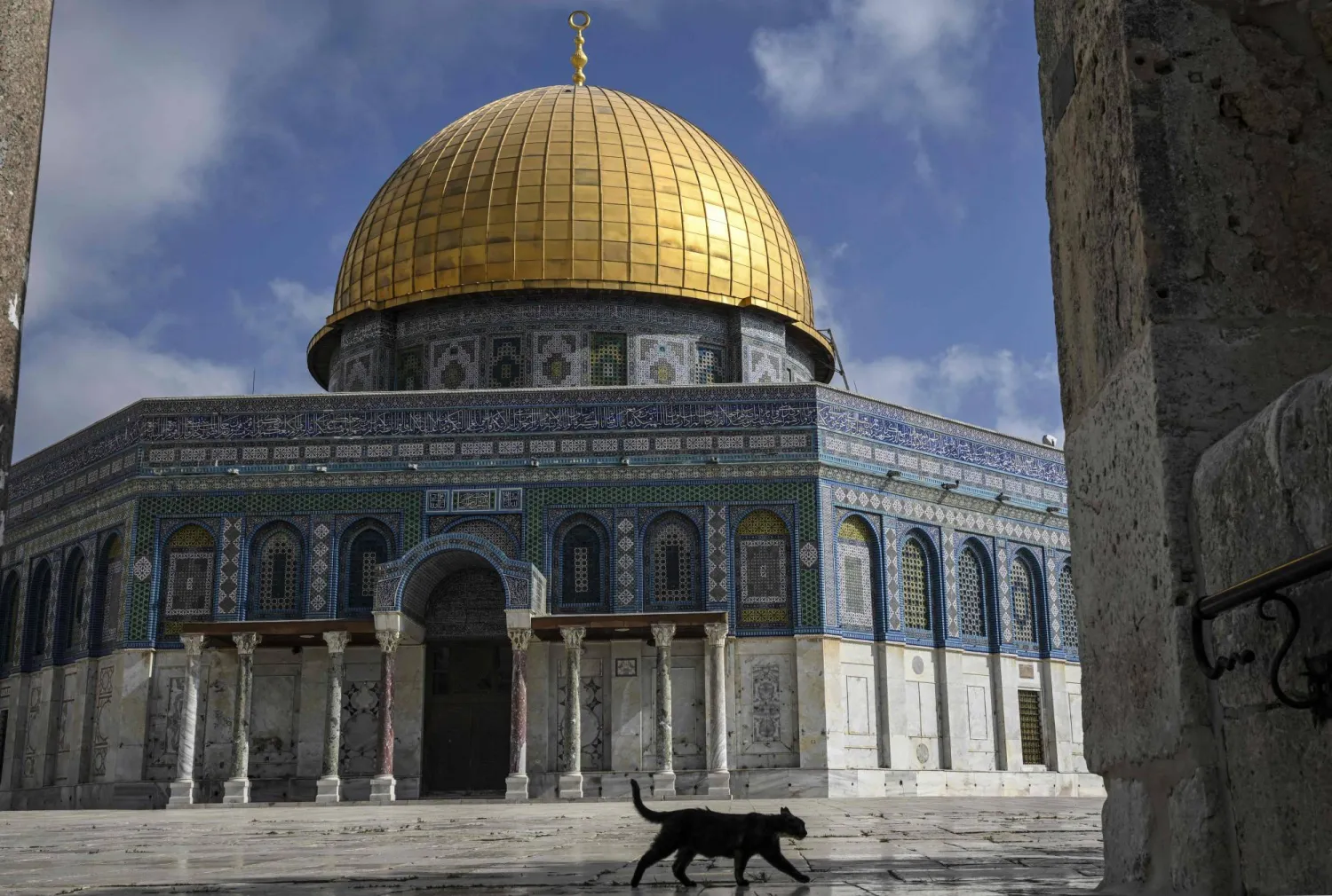 TOPSHOT - A cat walks near of the Dome of the Rock mosque inside the Al-Aqsa Mosque compound in Jerusalem, on July 15, 2024. (Photo by RONALDO SCHEMIDT / AFP)