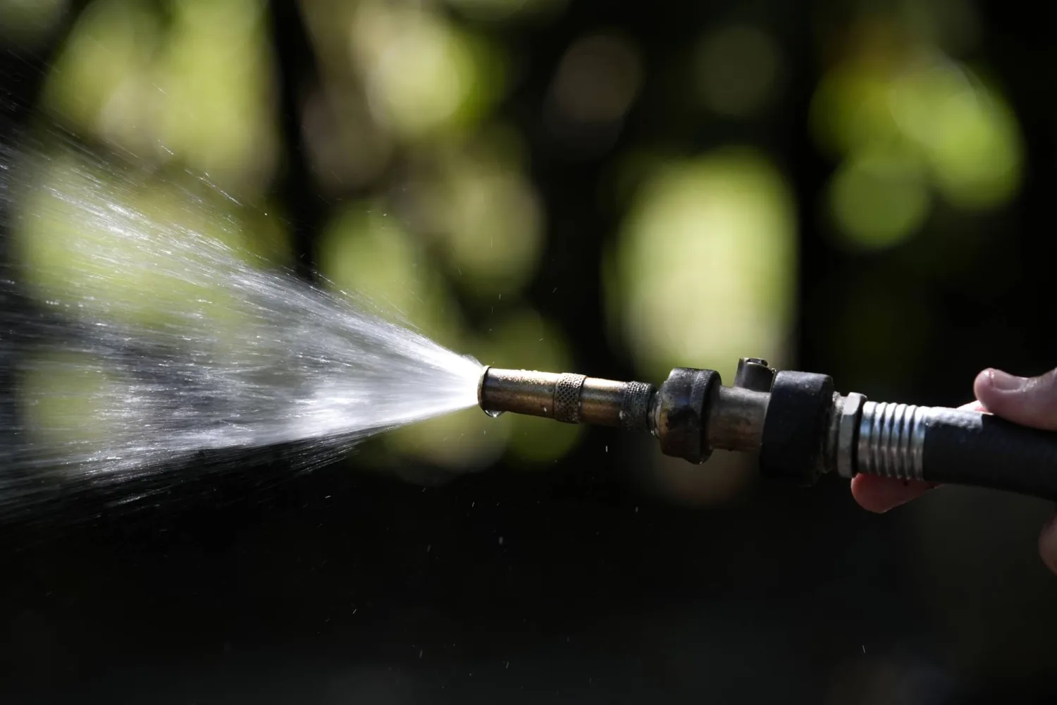 دش بارد من خرطوم المياه بالحديقة يساعد الحيوانات على مواجهة موجات الطقس الحار (أ.ب)