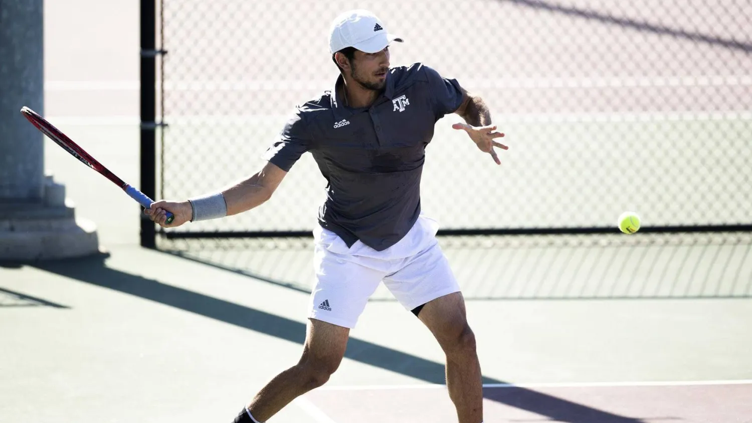 هادي حبيب (الشرق الأوسط)