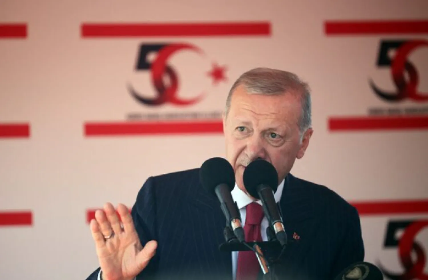 Turkish President Tayyip Erdogan attends a military parade to mark the 1974 Turkish invasion of Cyprus in response to a short-lived Greek-inspired coup, in the Turkish-controlled northern Cyprus, in the divided city of Nicosia, Cyprus July 20, 2024. REUTERS/Yiannis Kourtoglou/ File Photo Purchase Licensing Rights