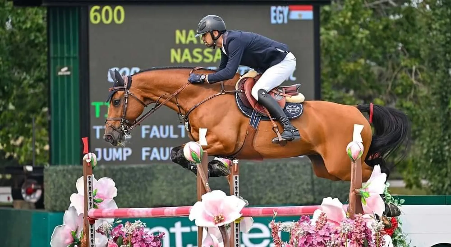 نائل نصار (الاتحاد المصري للفروسية)