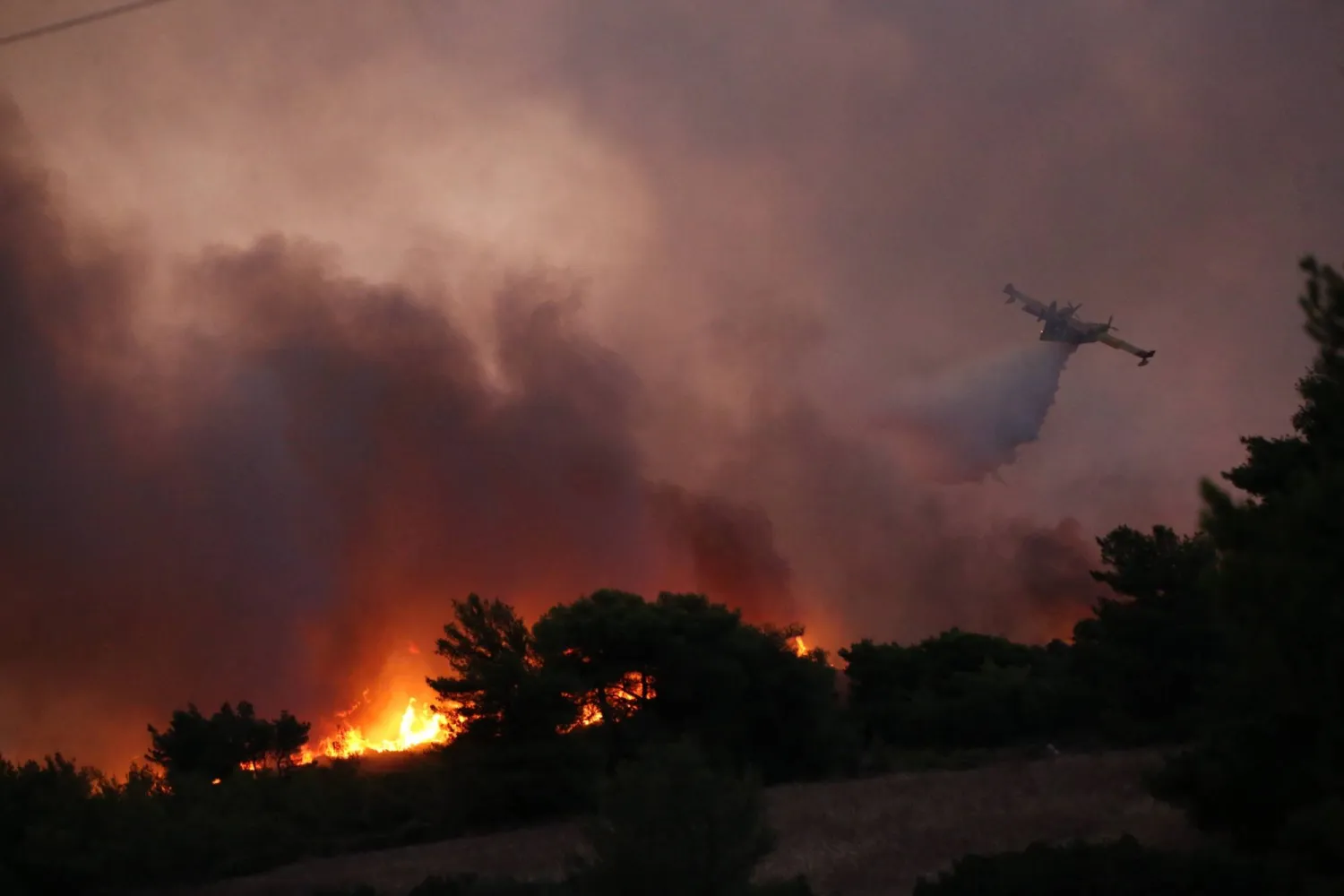 11 August 2024, Greece, Athens: A firefighting plane drops water during a large blaze north of Athens. Photo: Aristidis Vafeiadakis/ZUMA Press Wire/dpa