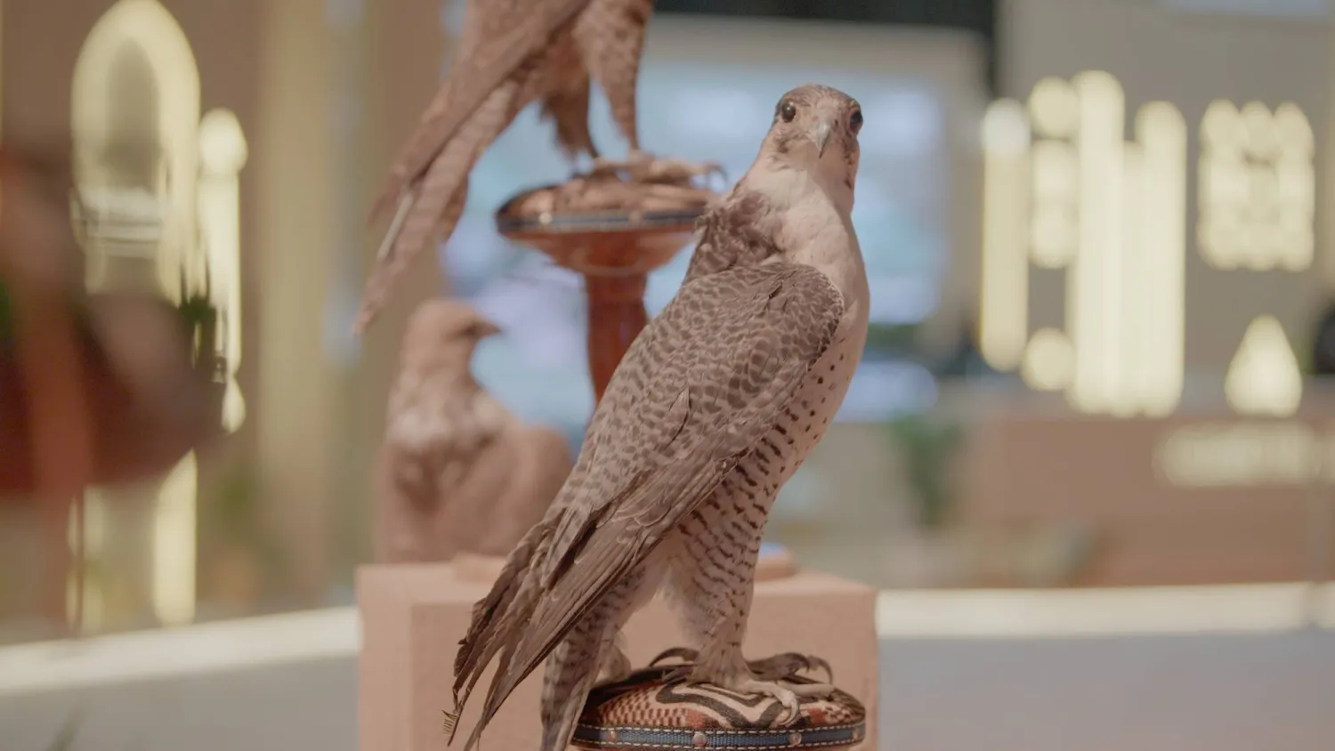 الليلة الرابعة شهدت بيع 3 صقور بقيمة 122 ألف ريال (تصوير: تركي العقيلي)