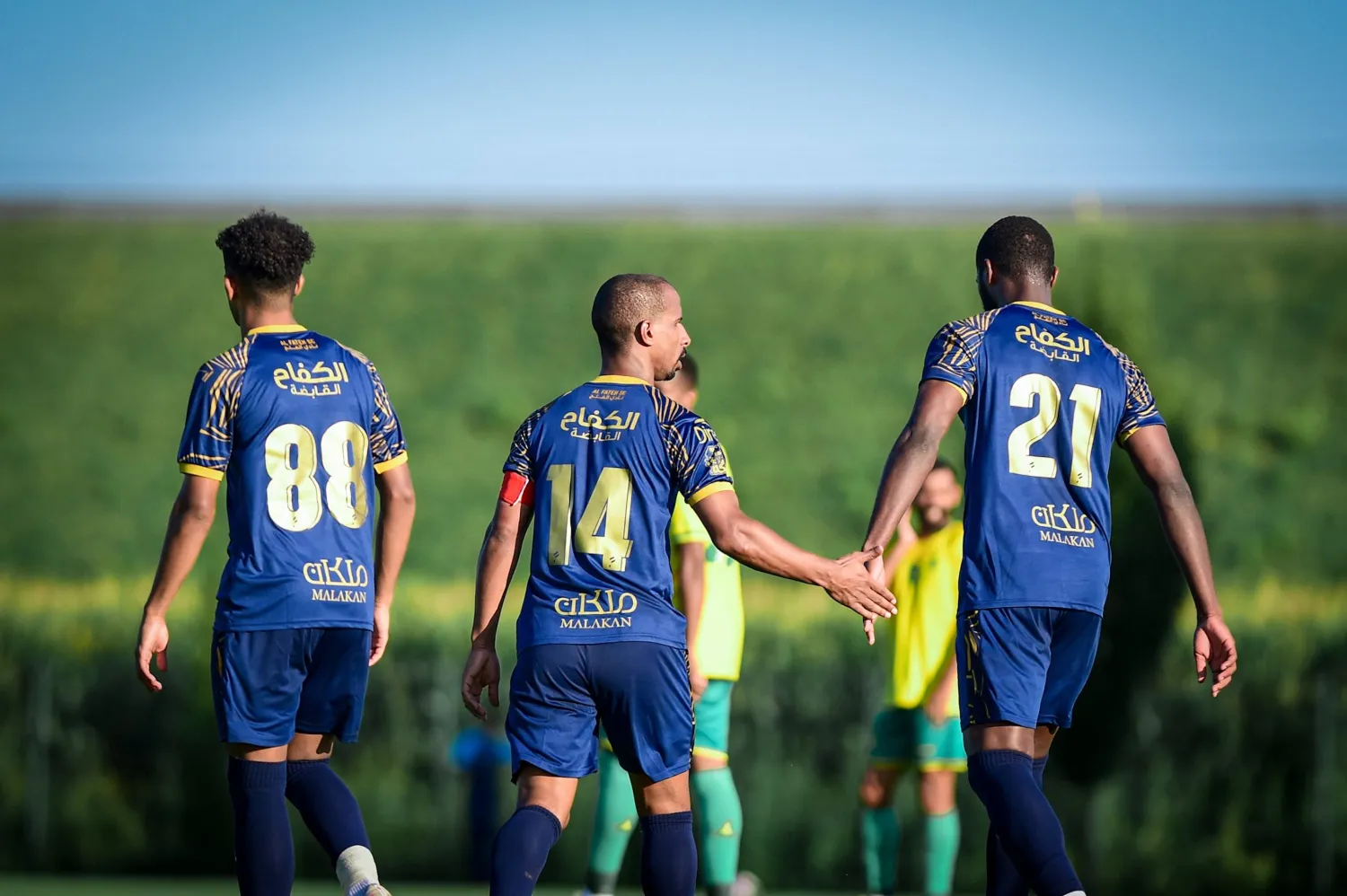 الفتح في انتظار مدربه الجديد بعد رحيل بيلتش (الفتح)