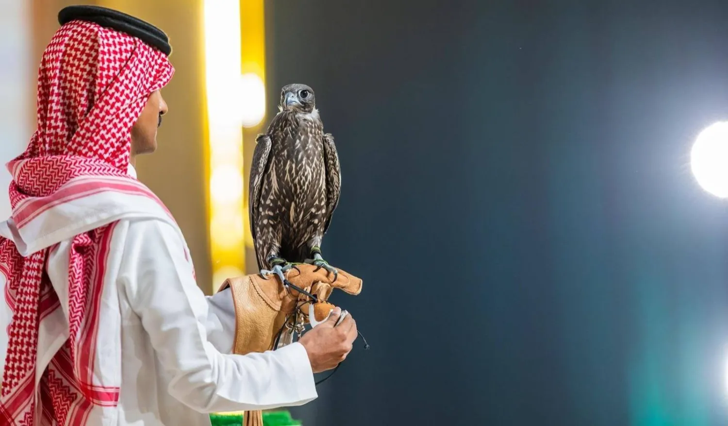 جانب من مزاد اليوم السادس لمزارع انتاج الصقور (واس)